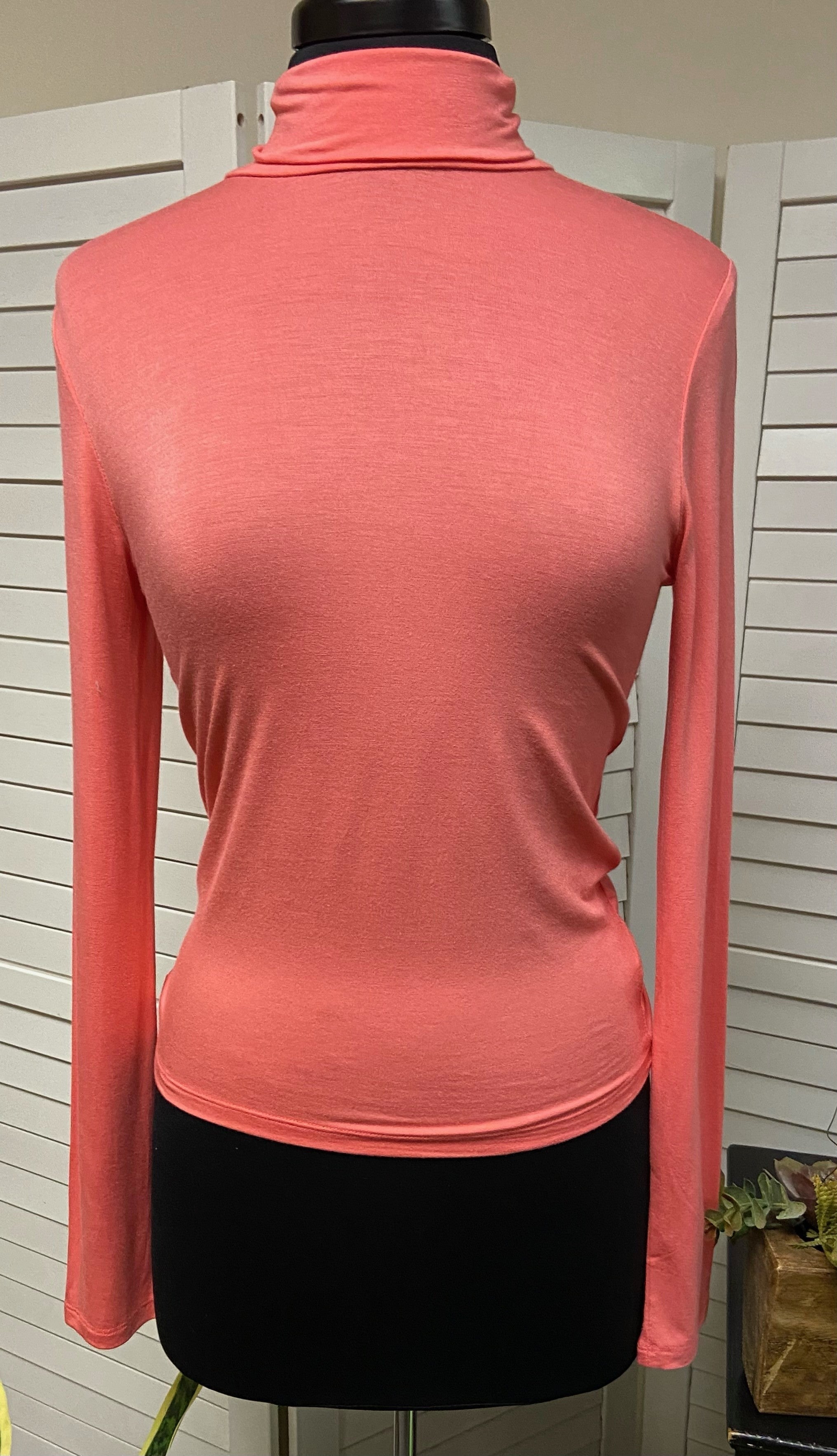 Solid Turtleneck