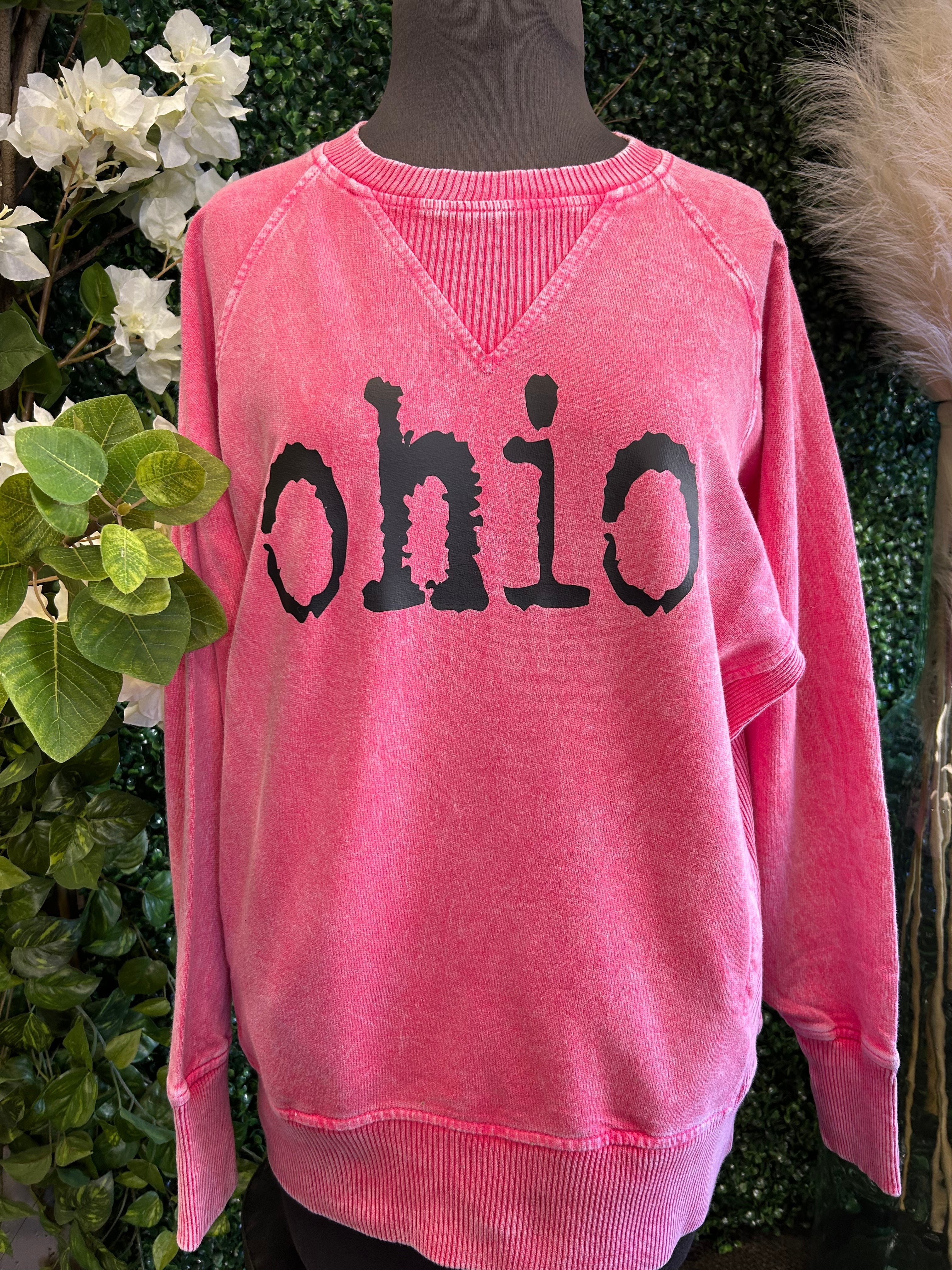 Ohio Vintage Washed Crewneck