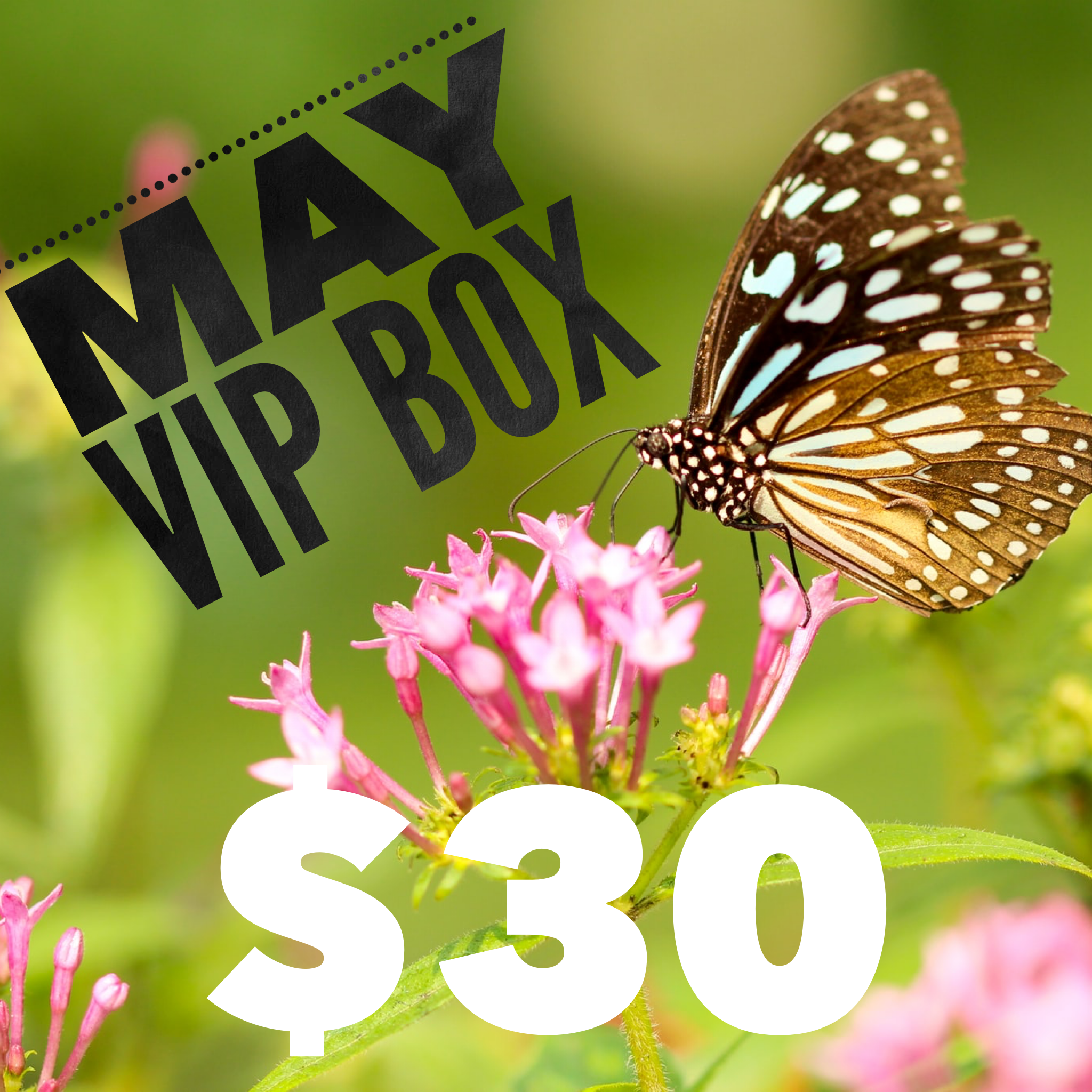 May VIP Box