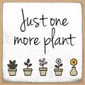 4x4-1081 One more plant