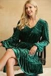 Velvet Ruffle Dress with Buttons