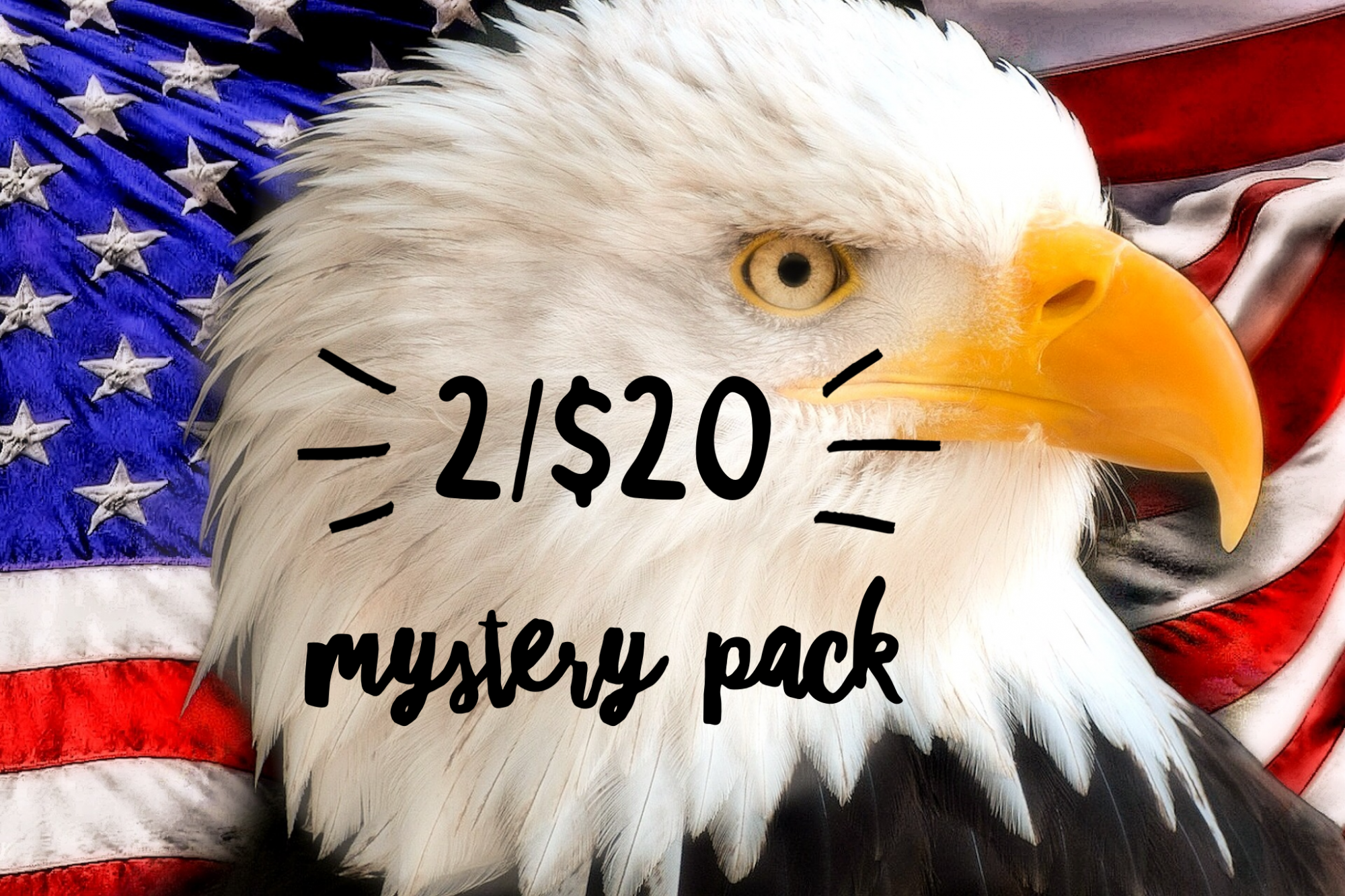 Bald Eagle Mystery Pack