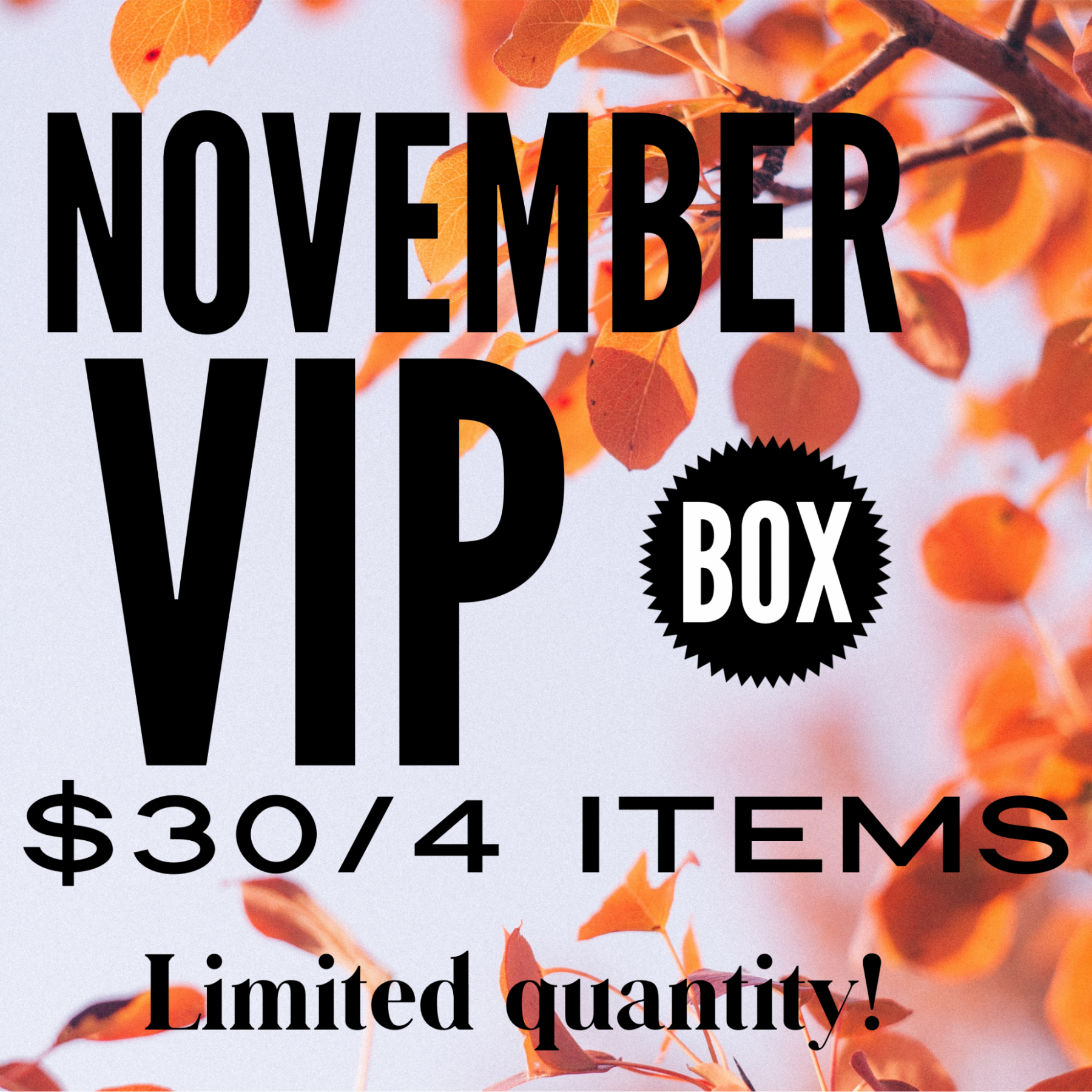 November  VIP Box