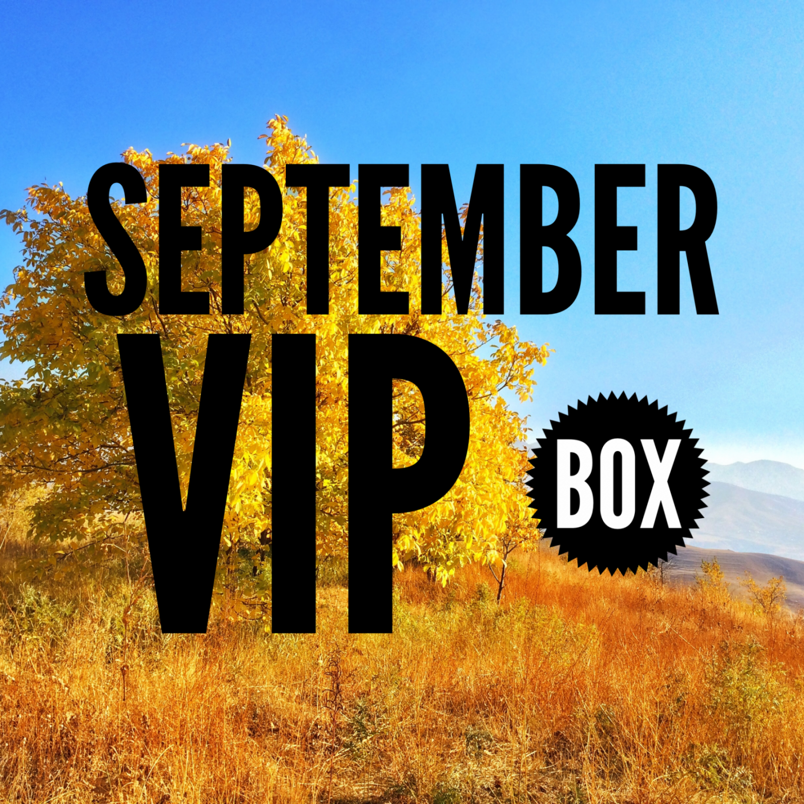September VIP Box