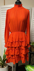 Long Sleeve Smocked Tiered Mini Dress