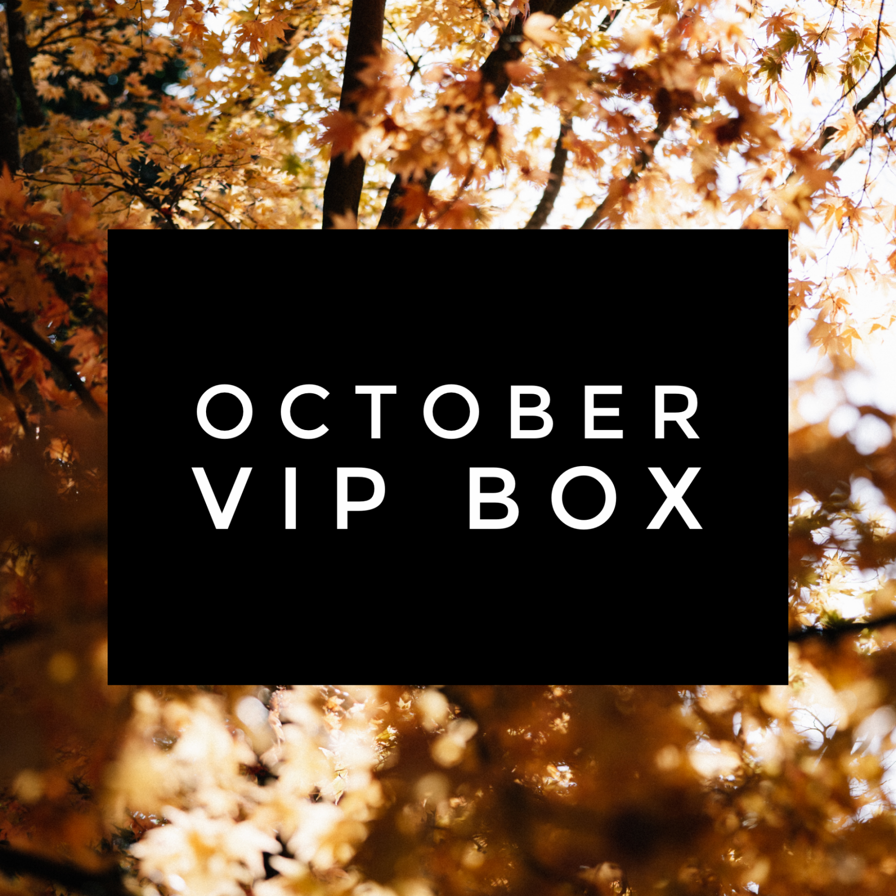 October VIP Box