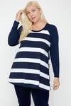 Striped Tunic with Solid Sleeves
