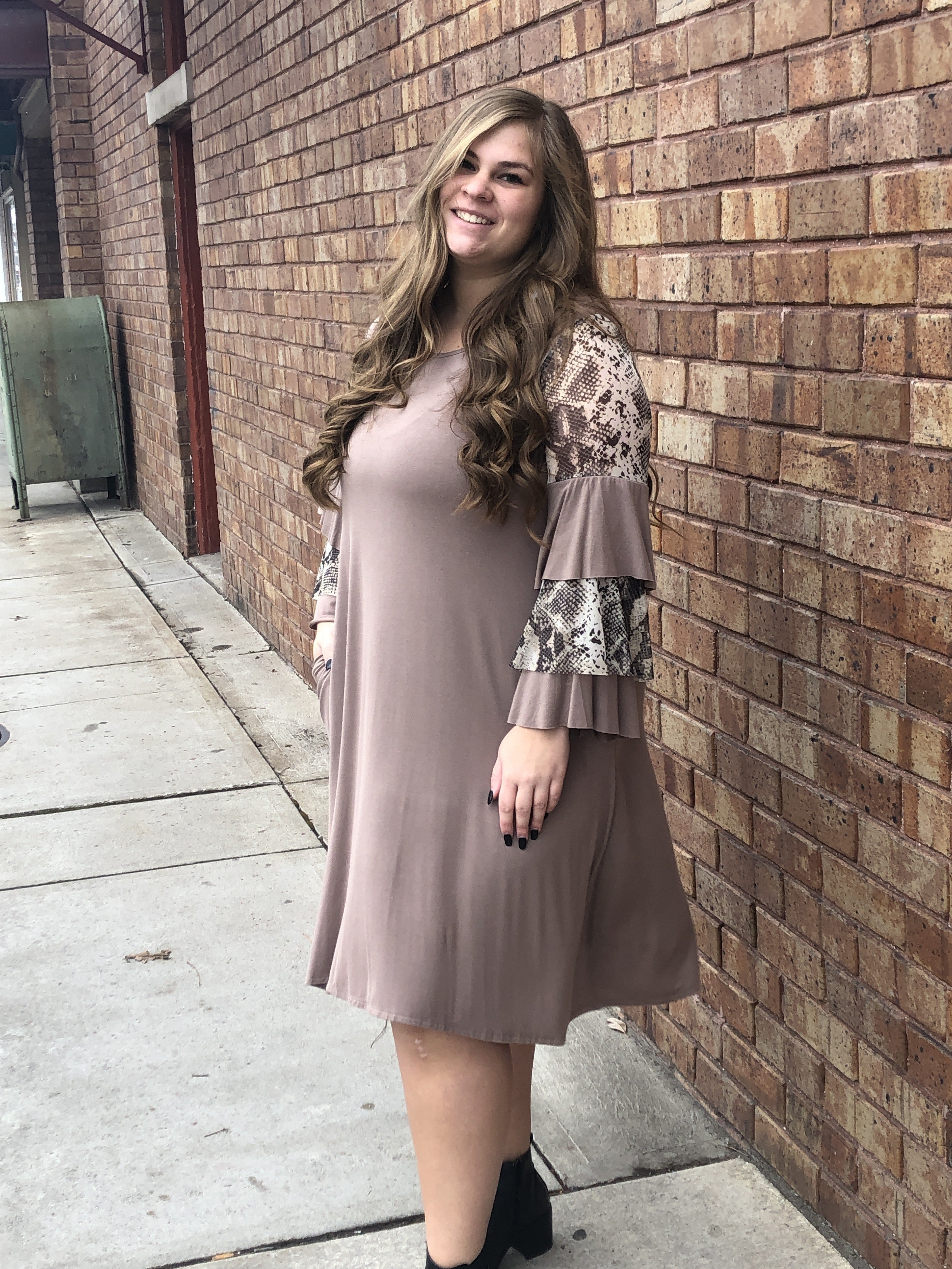 Ruffle sleeve dress