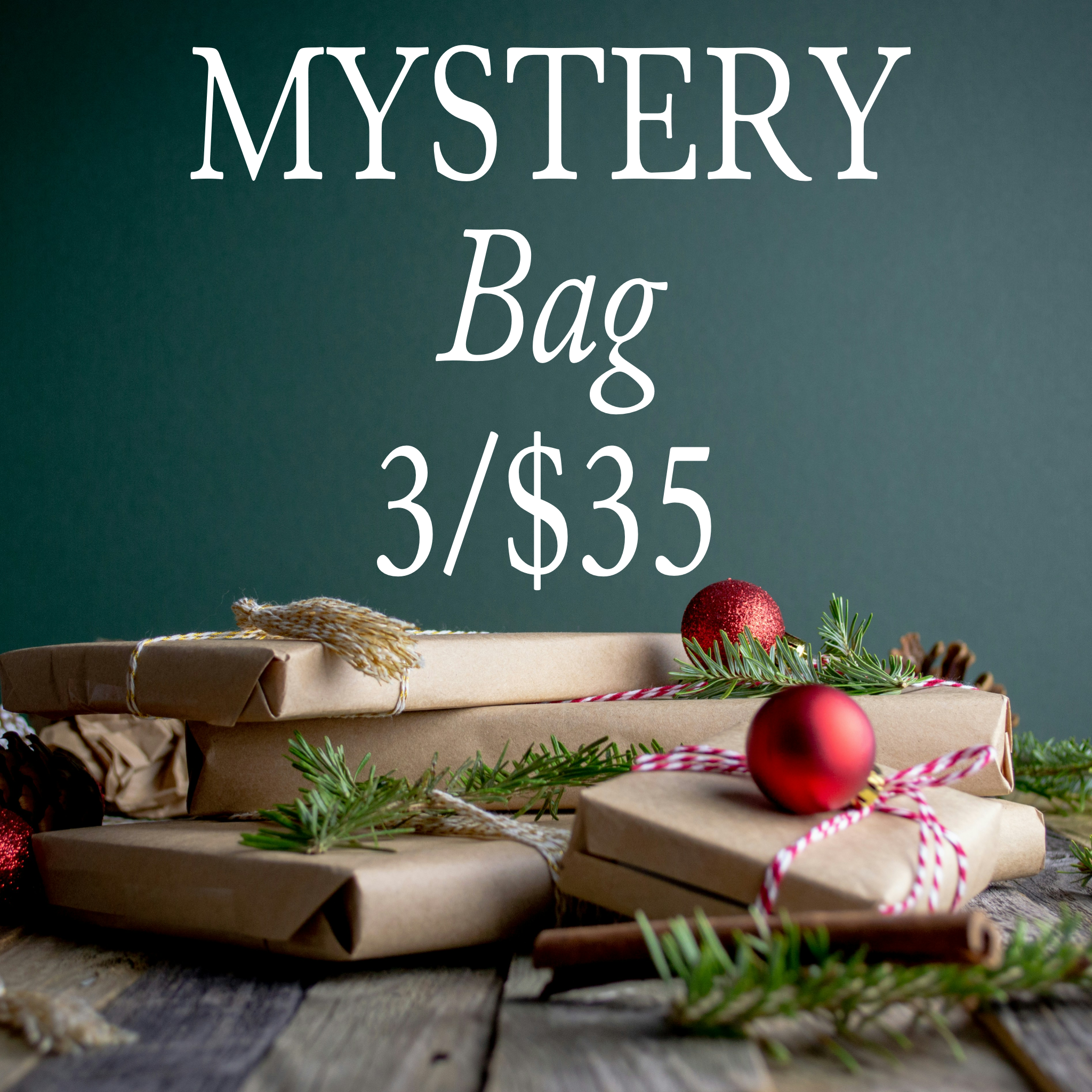 Small Business Saturday Mystery Bag